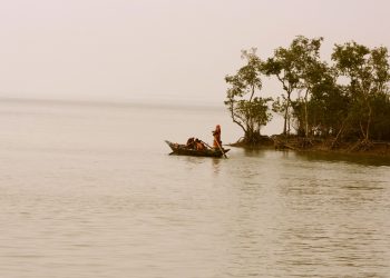 Where Fear Stalks the Land
