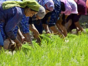 How amended land laws undo historic reforms in J&K