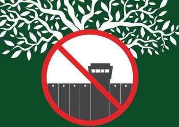 In solidarity with Palestine: Pledge and declare your space an anti-apartheid zone