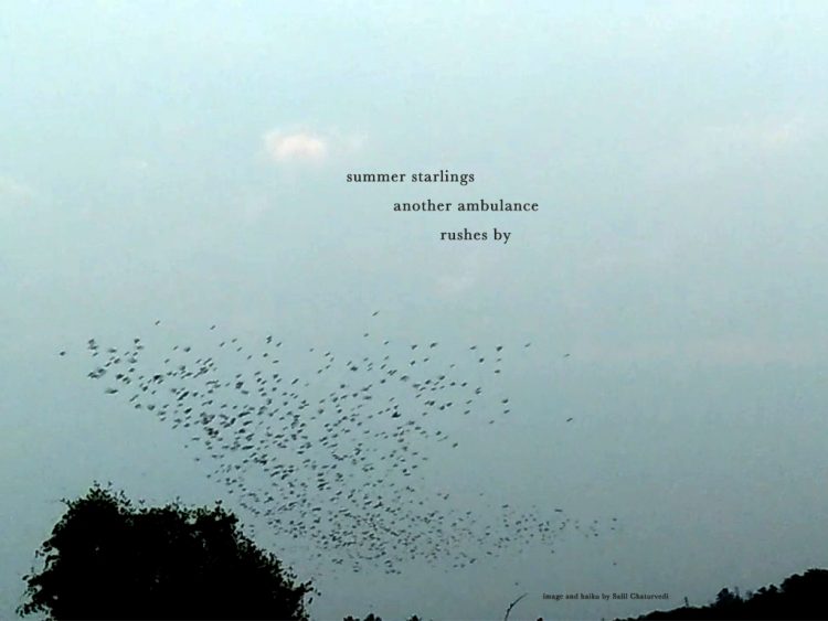 Corona Haiga (Haiku+Image)