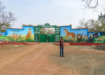 In Kuno: Cheetahs in, Adivasis out